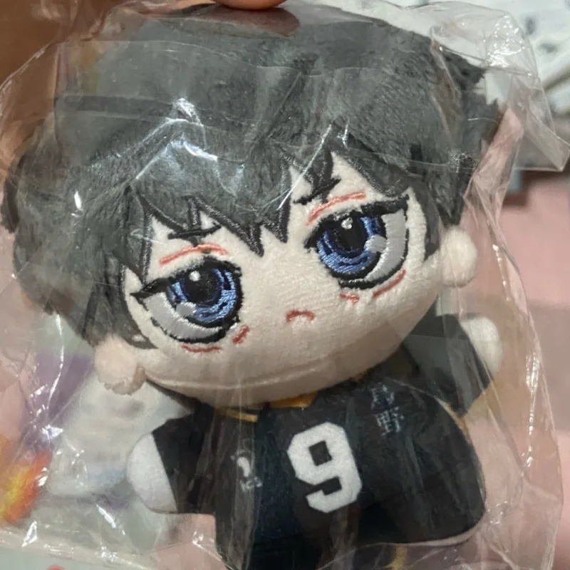Cartoon Anime Haikyuu Shoyo Hi - Event Supplies ulasan dan harga