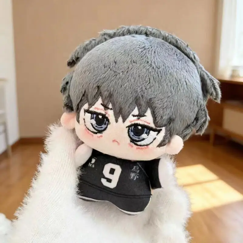 Cartoon Anime Haikyuu Shoyo Hi - Event Supplies ulasan dan harga
