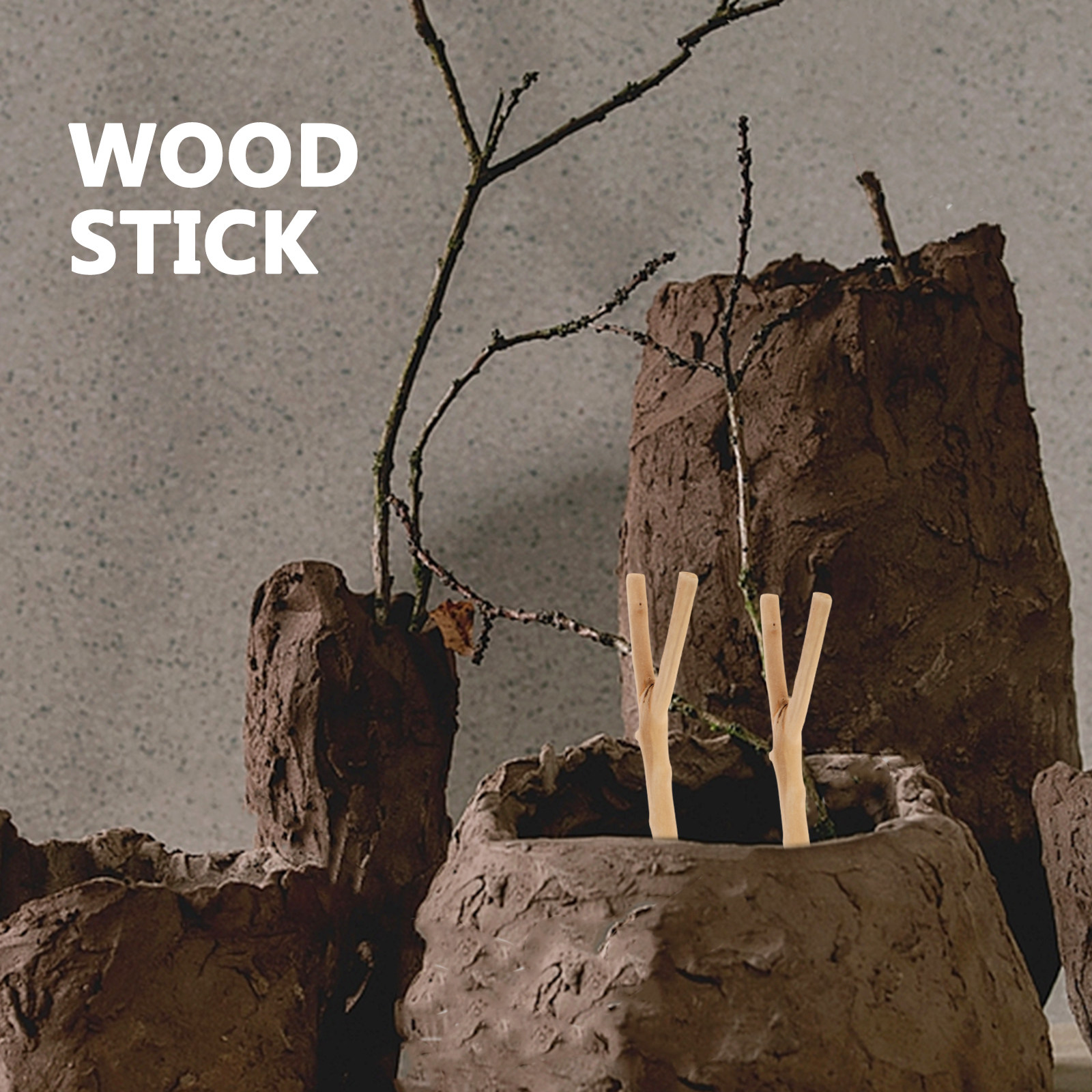 Handpolished Driftwood Branche - Centerpiece Stick ulasan dan harga
